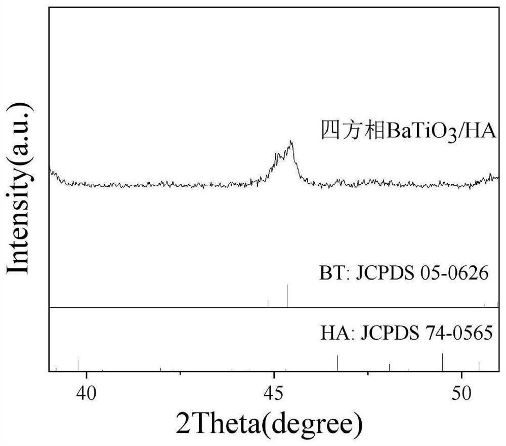 Method for preparing tetragonal BaTiO3/HA composite nanoparticles by liquid-phase rotary evaporation method