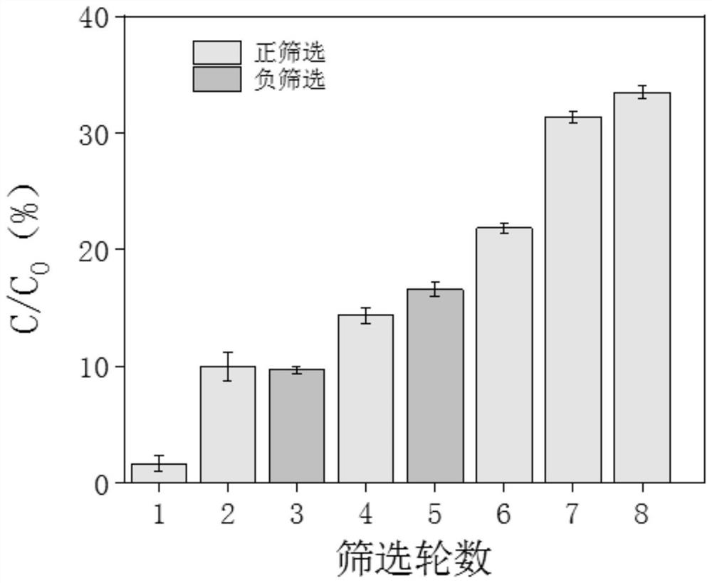 DNAzymes for identifying pseudomonas aeruginosa as well as screening and detecting method and application