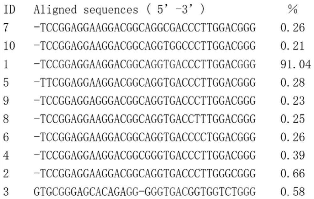 DNAzymes for identifying pseudomonas aeruginosa as well as screening and detecting method and application