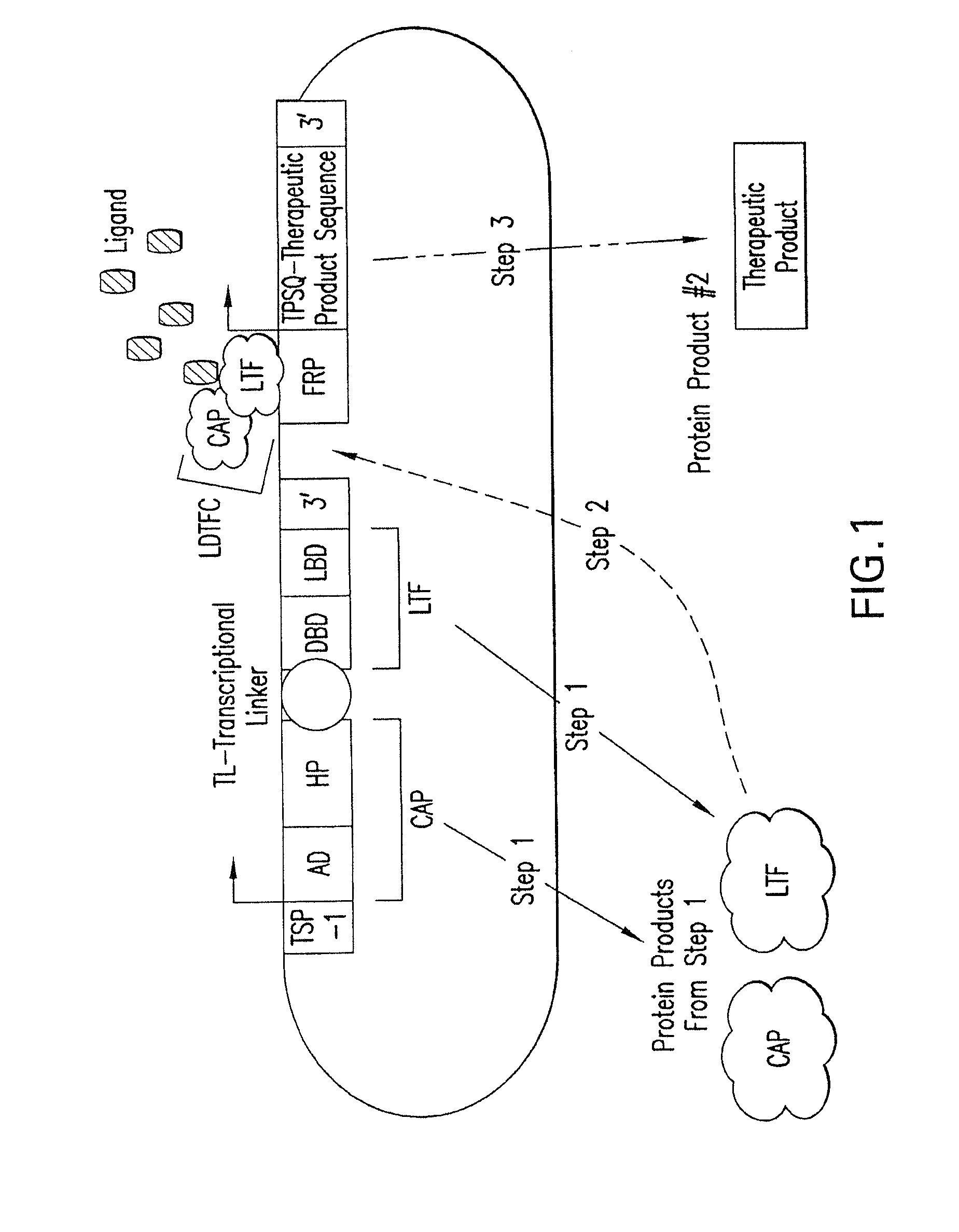 Therapeutic Gene-Switch Constructs and Bioreactors for the Expression of Biotherapeutic Molecules, and Uses Thereof