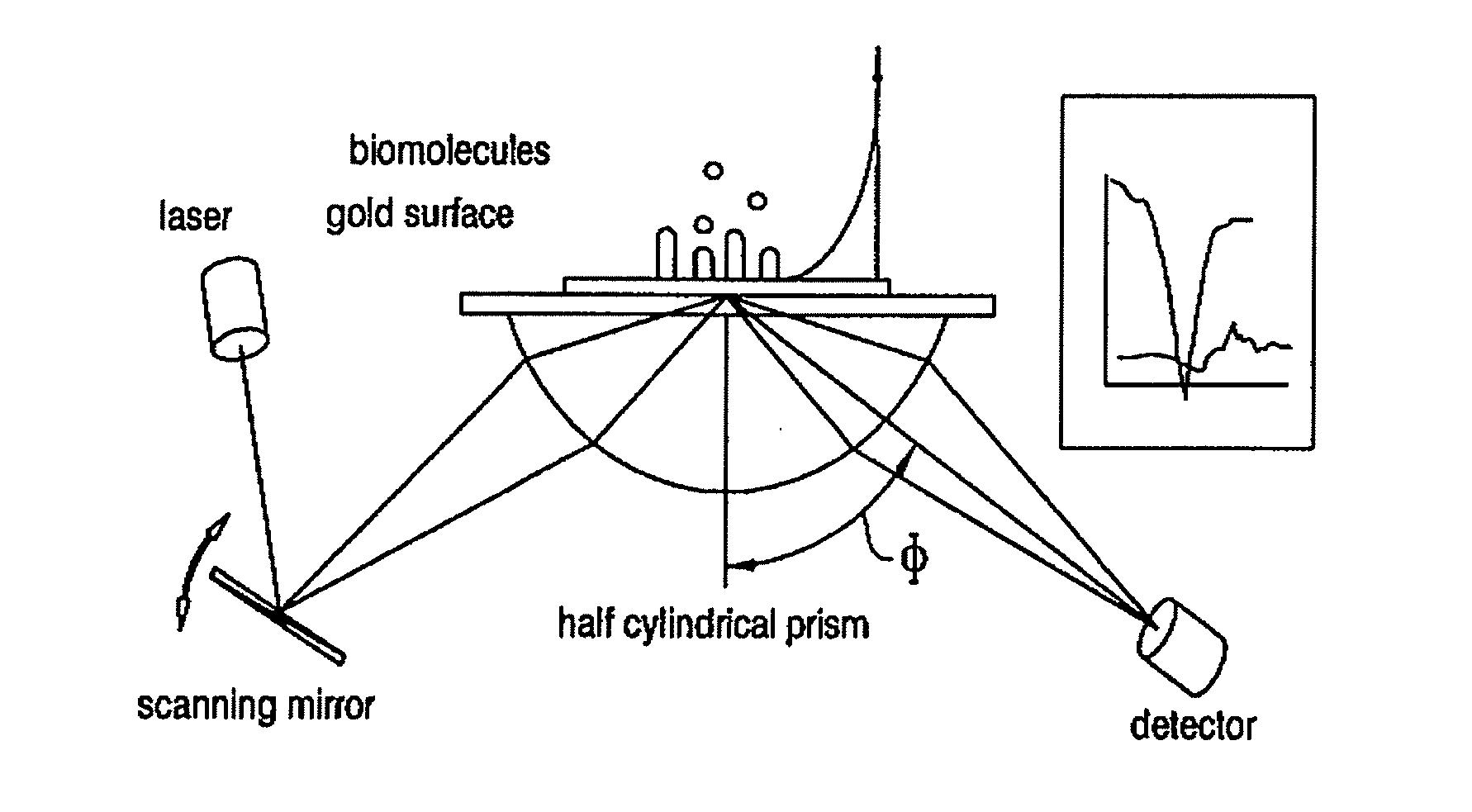 Sub-micron surface plasmon resonance sensor systems