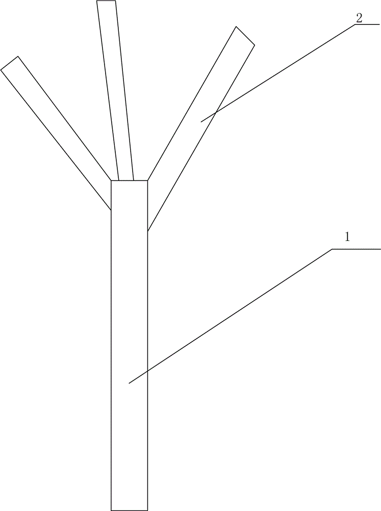 Honeysuckle shaping trimming method