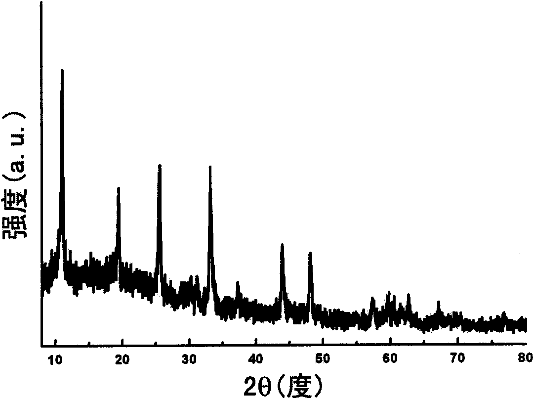 Nucleocapsid energizing agent for propelling agent and method for preparing same