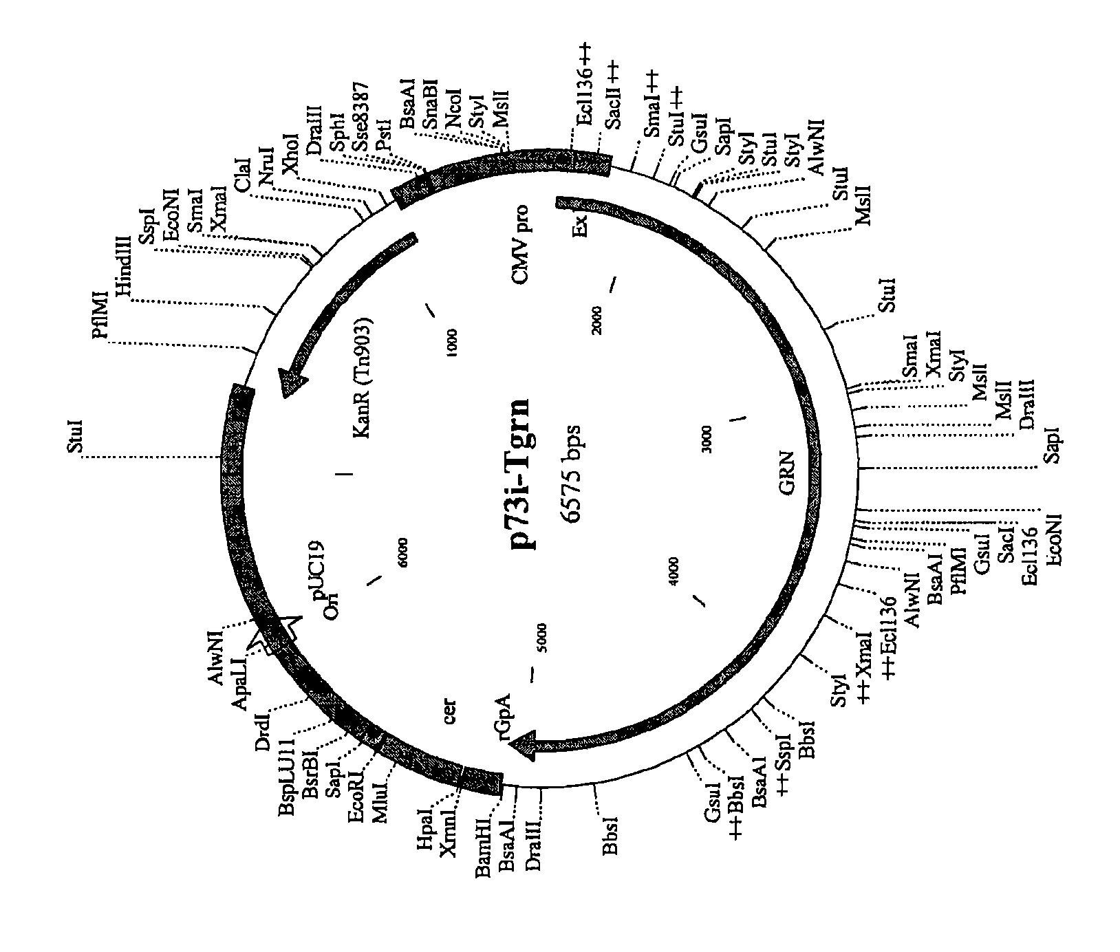 Novel method and compositions