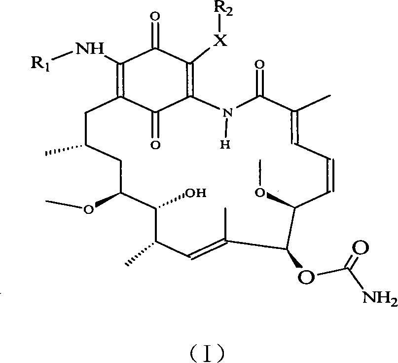 A set of geldanamycin derivant and method for preparing the same