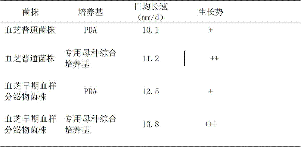 Glossy ganoderma-lentinus edodes stem solid state fermentation compound as well as preparation method and application thereof