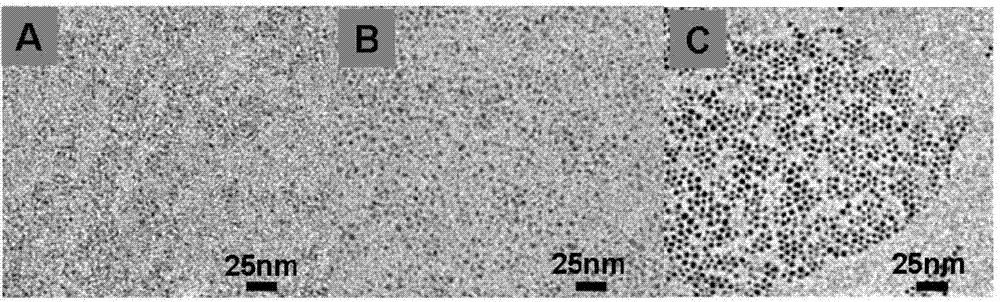 Fluorescent quantum dot used for magnetic resonance contrast agent and preparation method thereof