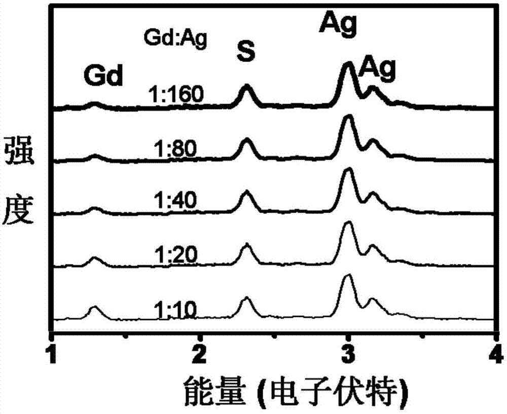 Fluorescent quantum dot used for magnetic resonance contrast agent and preparation method thereof
