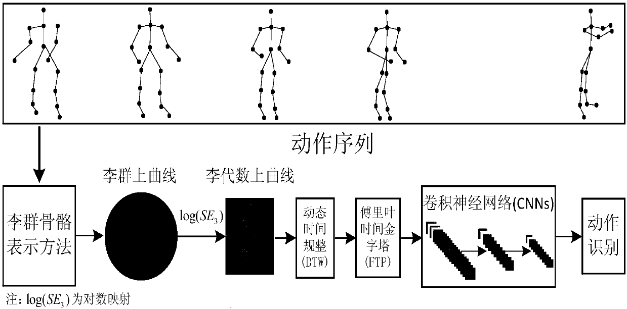 Human motion recognition method based on plum group characteristics and a convolutional neural network