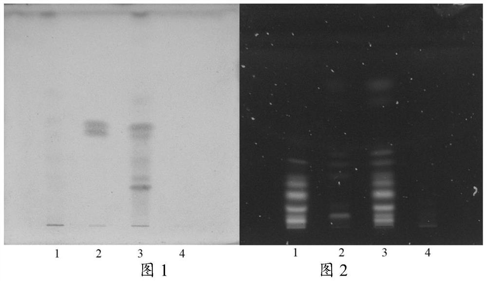 A detection method of a pharmaceutical preparation of Houpu Qiwu Decoction
