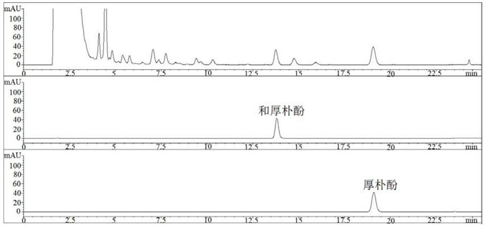 A detection method of a pharmaceutical preparation of Houpu Qiwu Decoction