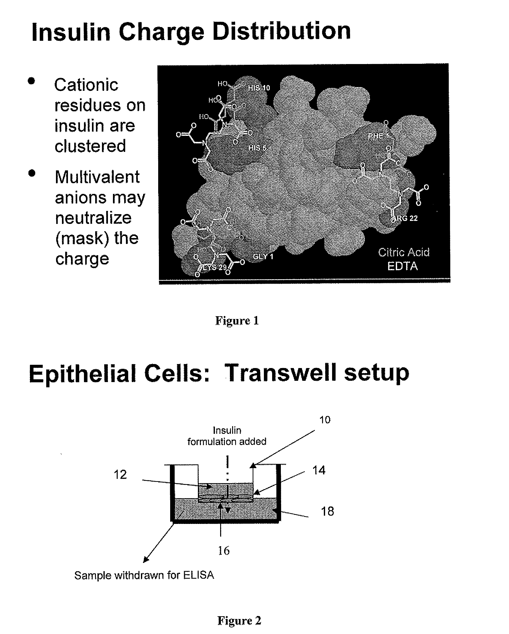 Rapid Acting Injectable Insulin Compositions