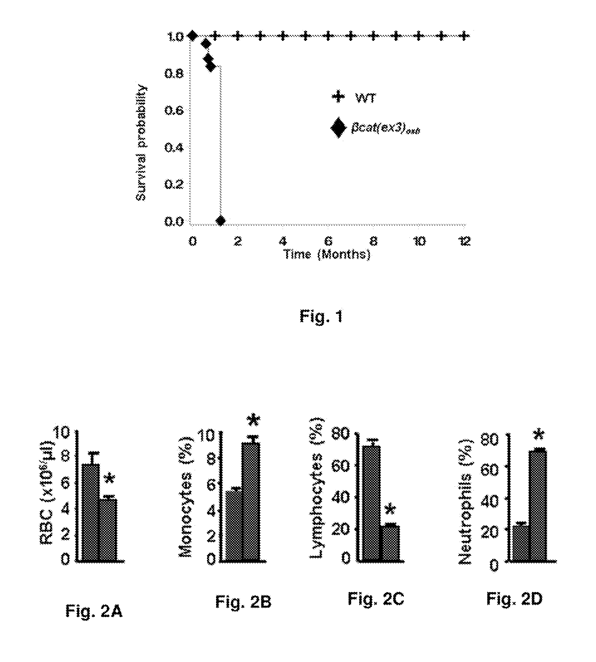 Methods of treating, preventing and diagnosing leukemia and other blood diseases and disorders