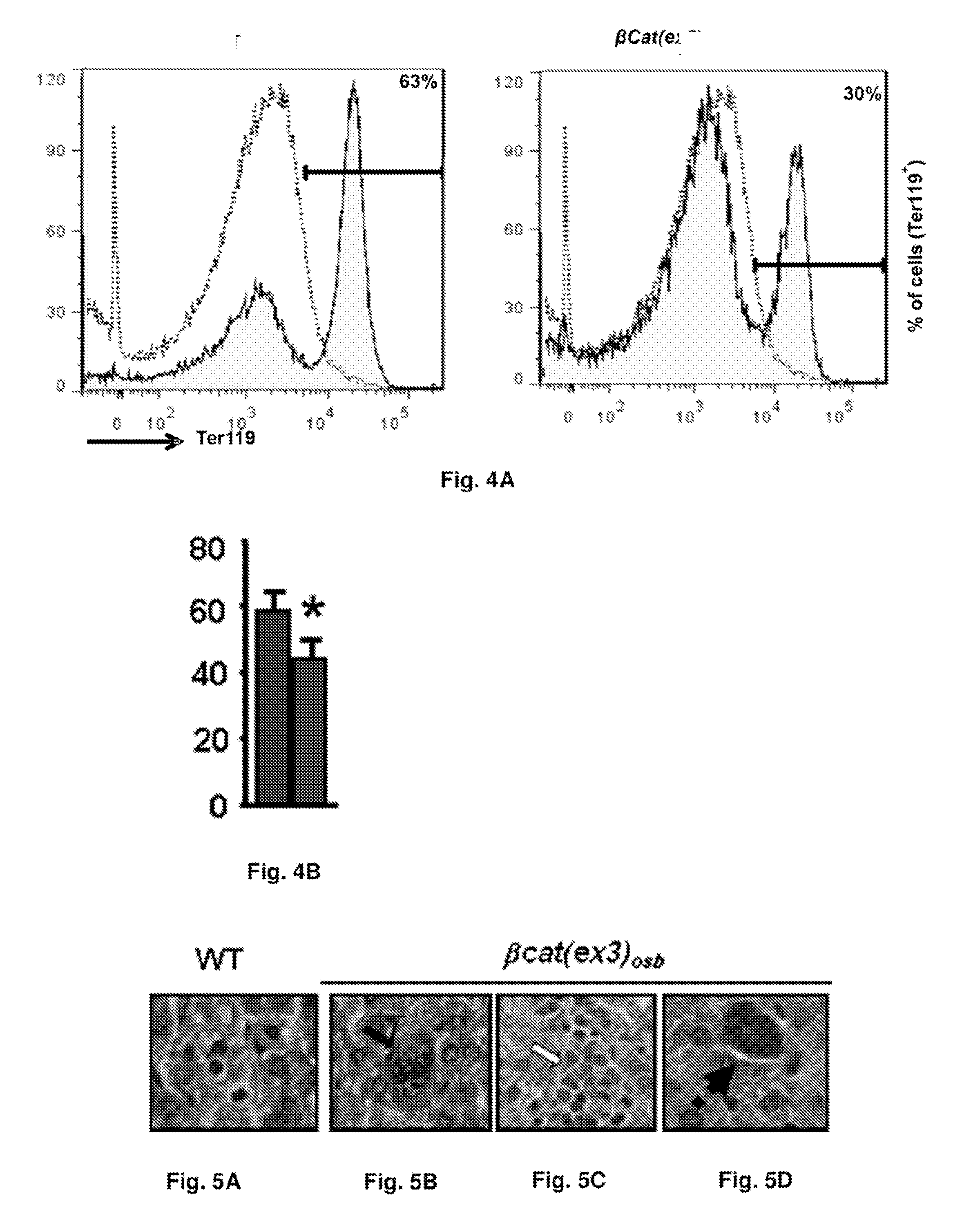 Methods of treating, preventing and diagnosing leukemia and other blood diseases and disorders
