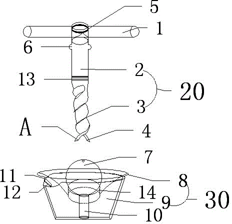 Tool for removing waxberry kernel