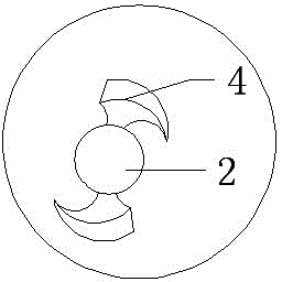 Tool for removing waxberry kernel