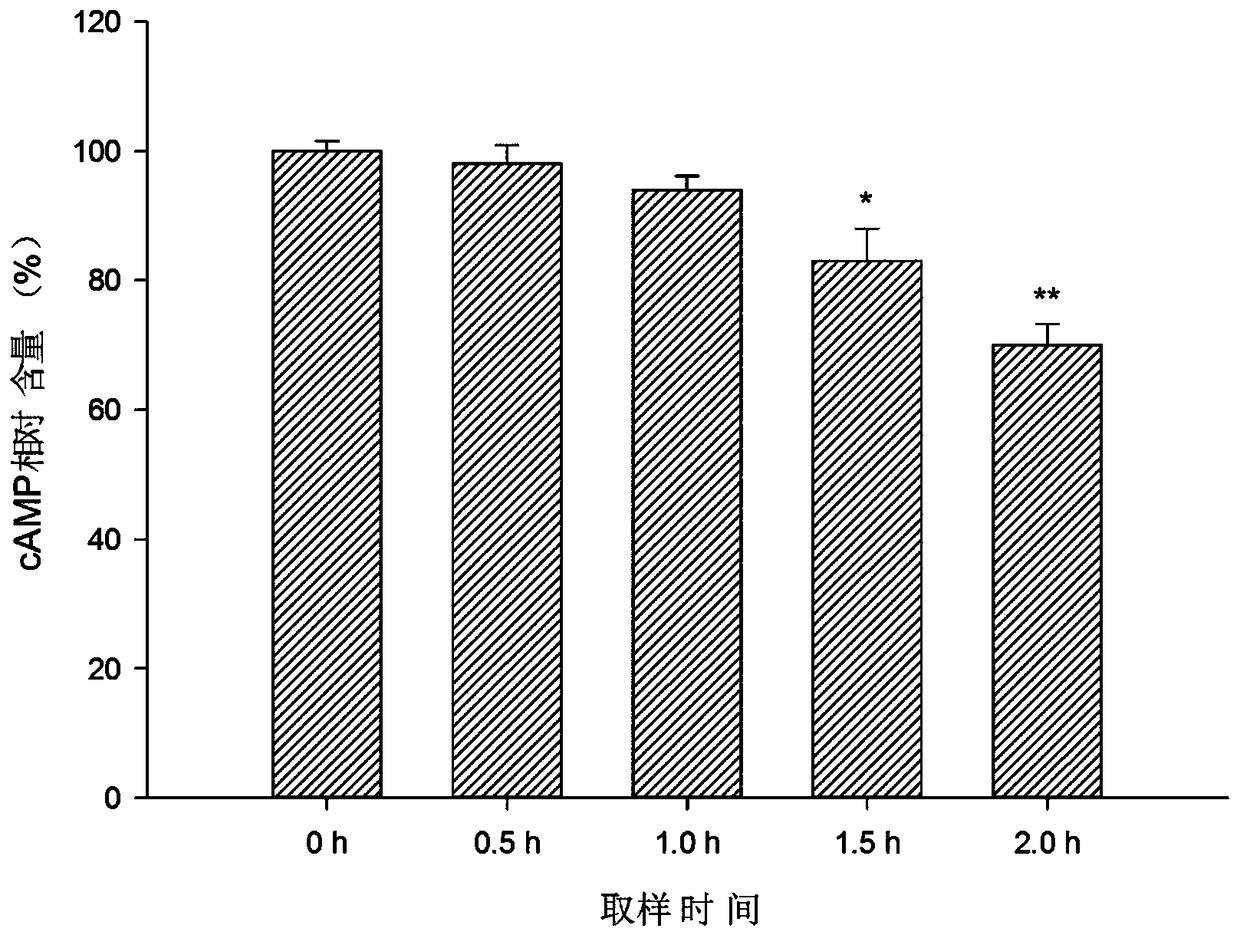 Sepiella maindroni neuropeptide Y and recombinant expression method and application thereof