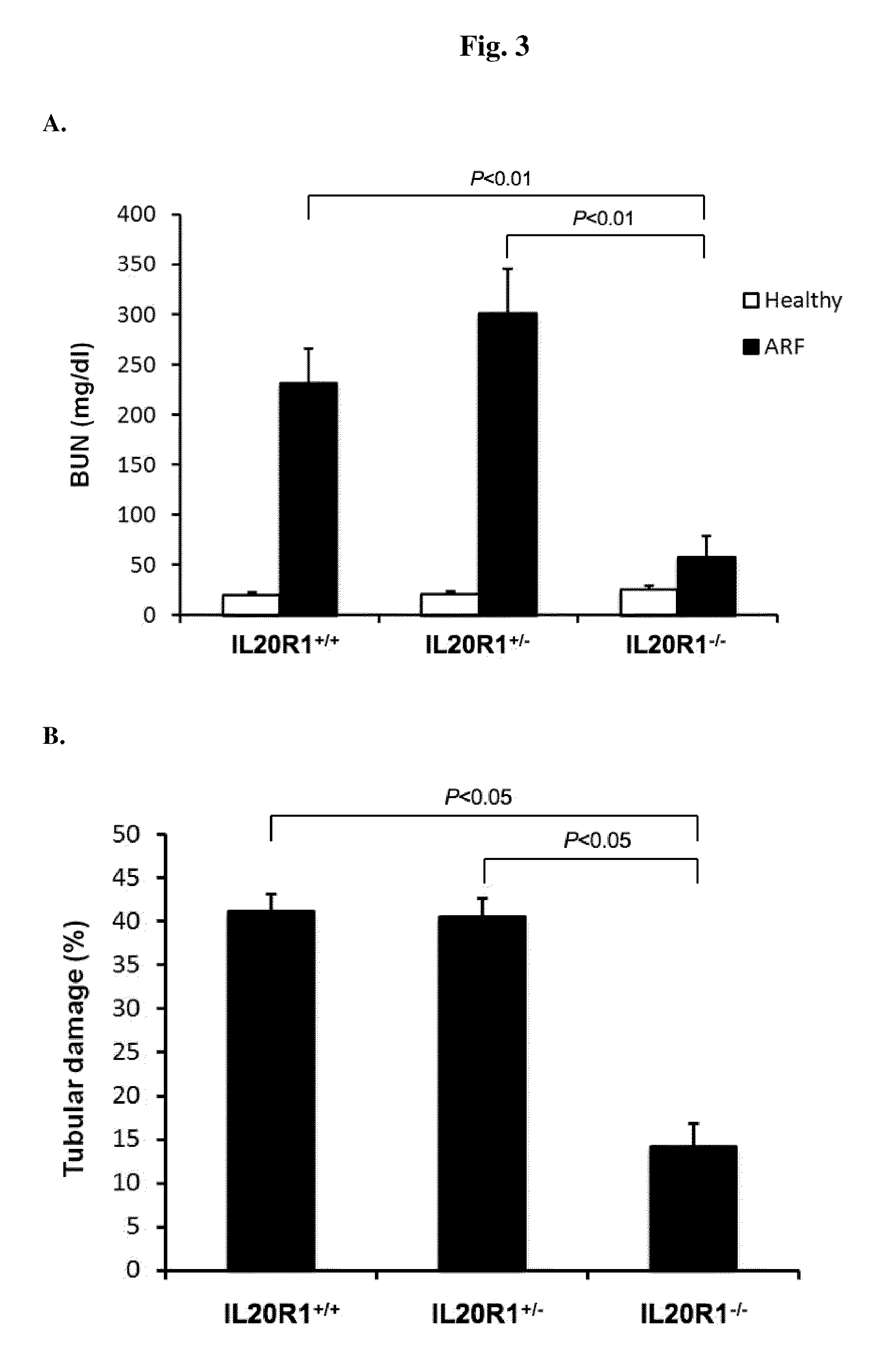 Methods for treating osteoporosis with anti-IL-20 receptor antibodies