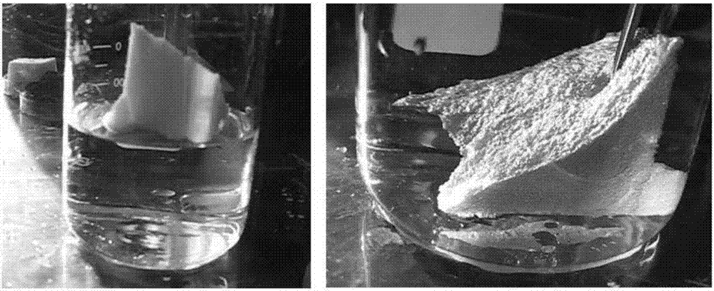 Superhydrophobic sponge body and preparation method thereof