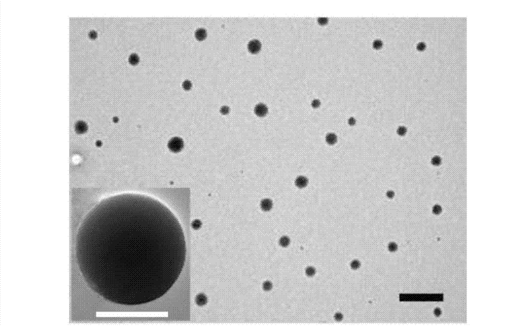 Drug-resistant cisplatin mineralization liquid and preparation method and application thereof