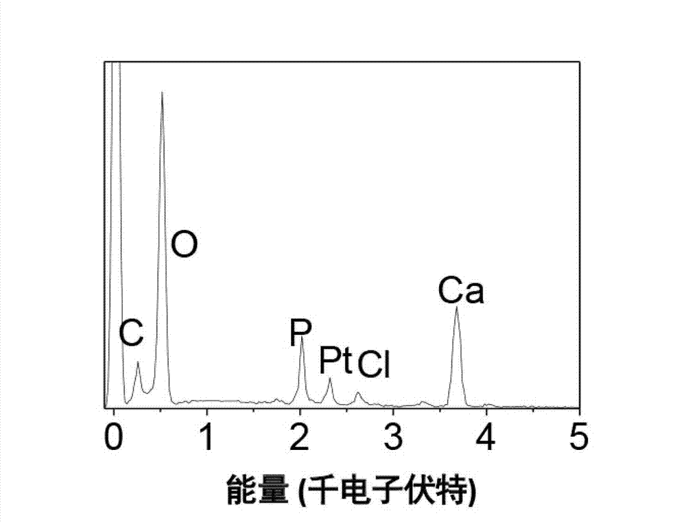 Drug-resistant cisplatin mineralization liquid and preparation method and application thereof