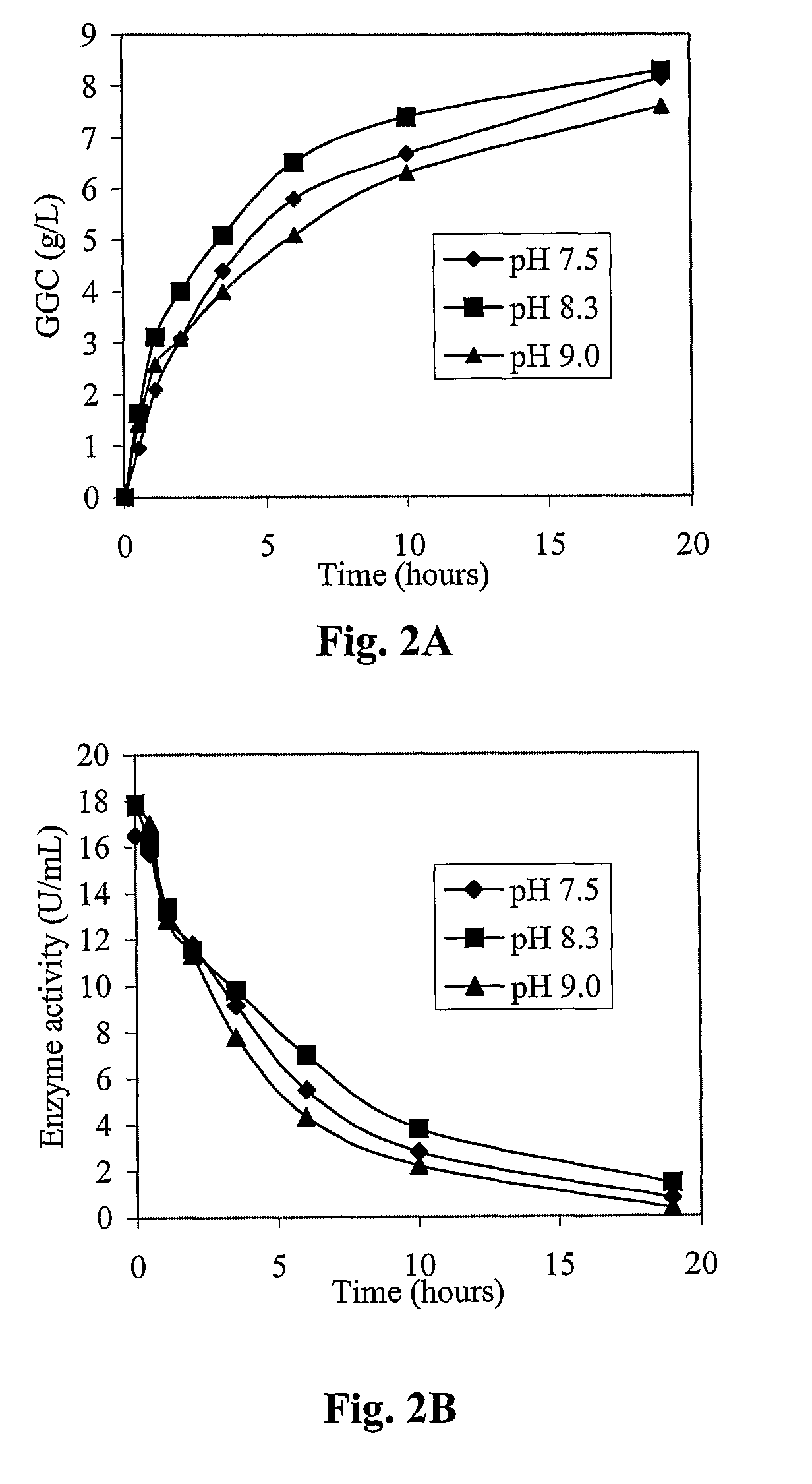 Process for the production of γ-glutamylcysteine