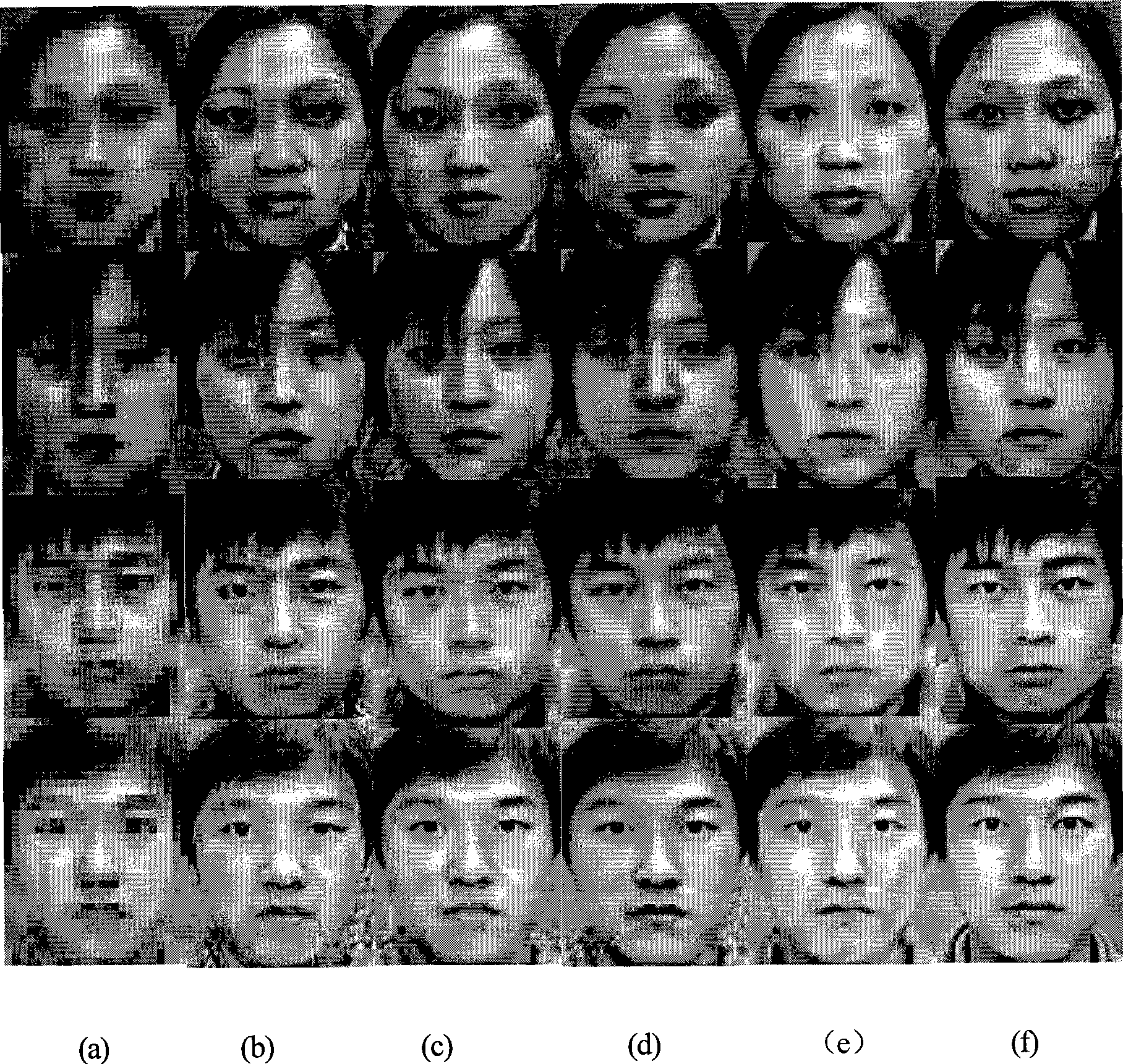 Process for reconstructing human face image super-resolution by position image block