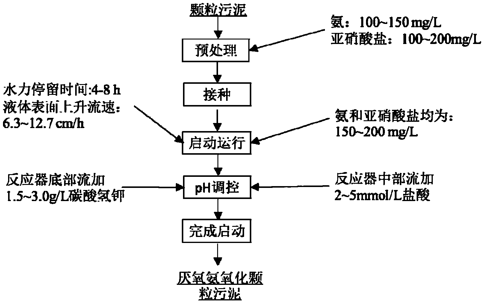 Rapid starting method of anaerobic ammonia oxidation reactor for enhancing sludge hydrolysis