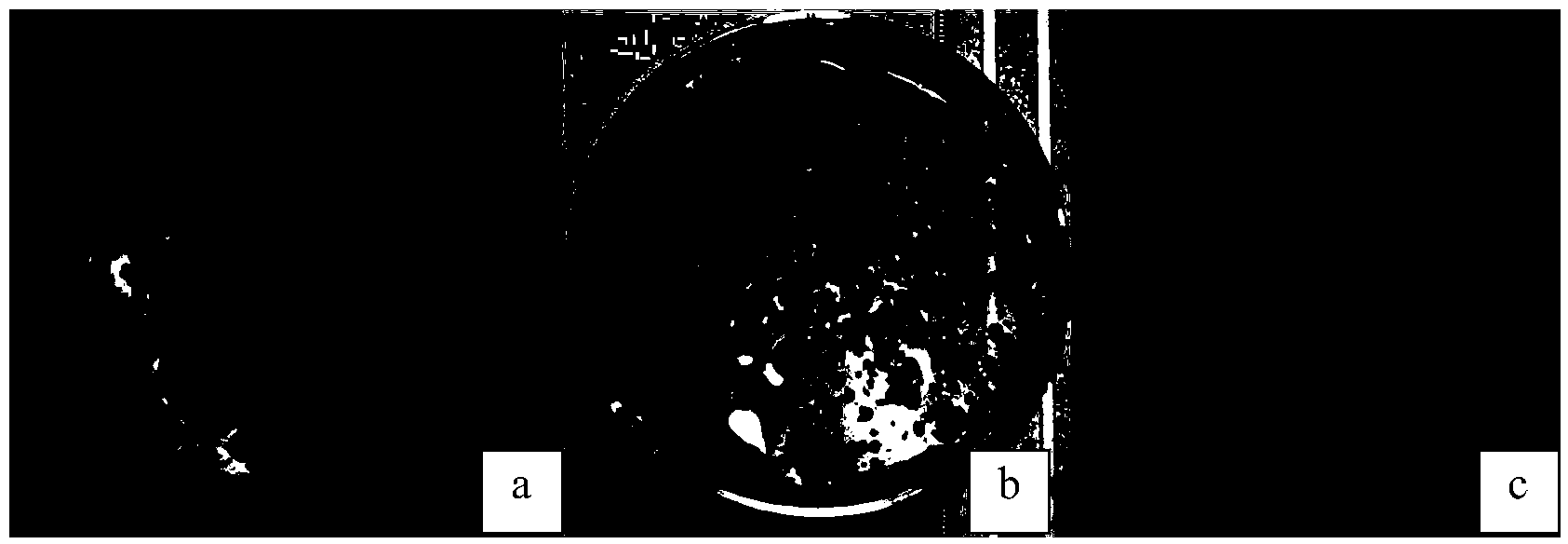 Rapid starting method of anaerobic ammonia oxidation reactor for enhancing sludge hydrolysis