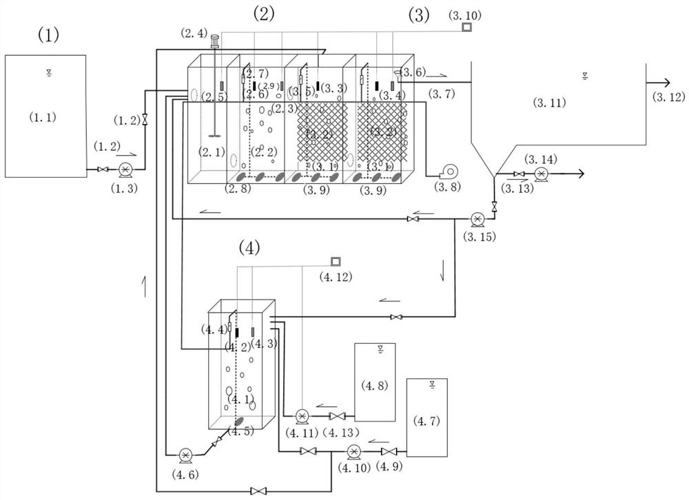 System and method for realizing stable operation of short-cut nitrification-anaerobic ammonia oxidation denitrification of low-ammonia-nitrogen wastewater