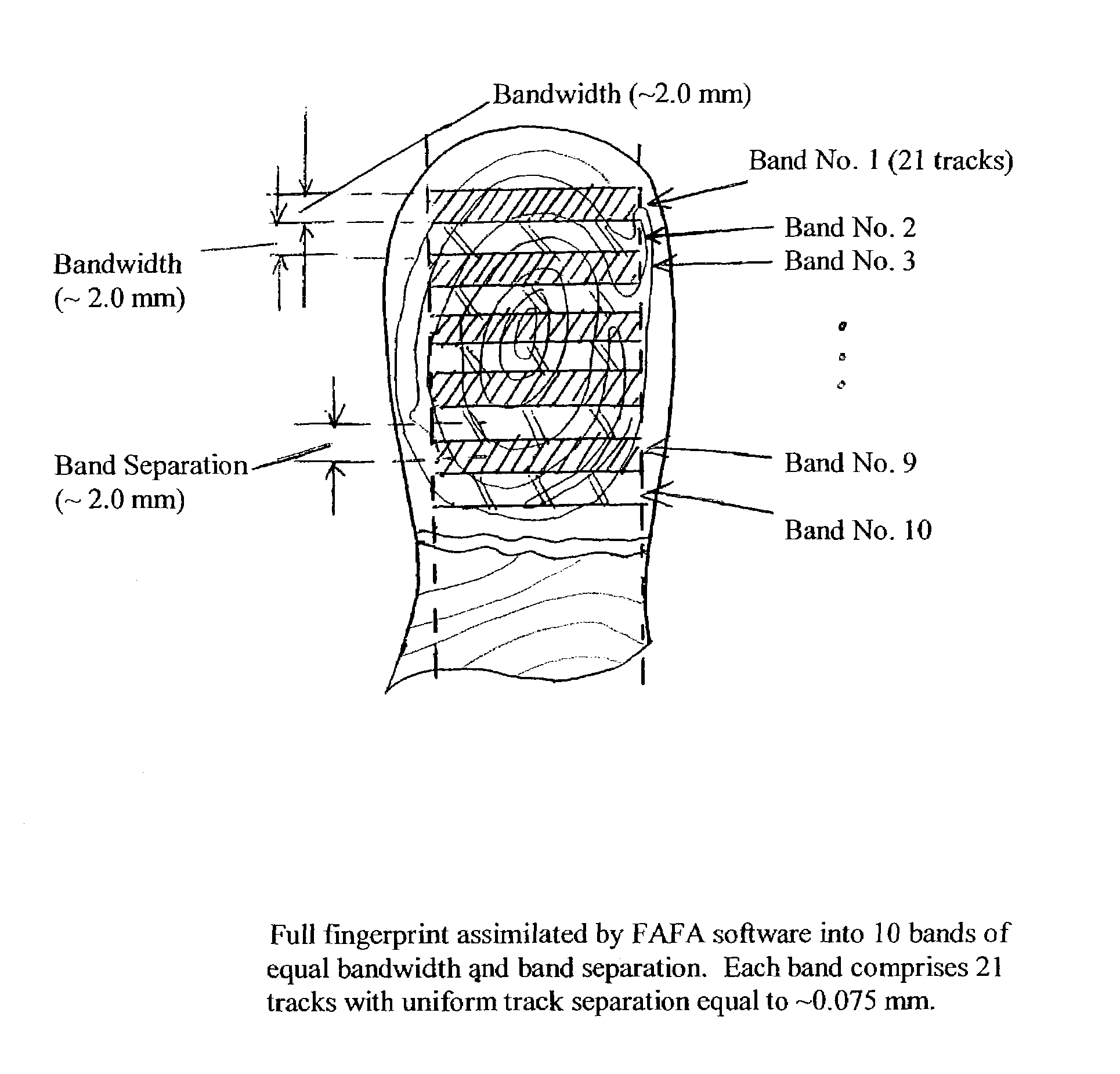 Method for authenticating an individual by use of fingerprint data