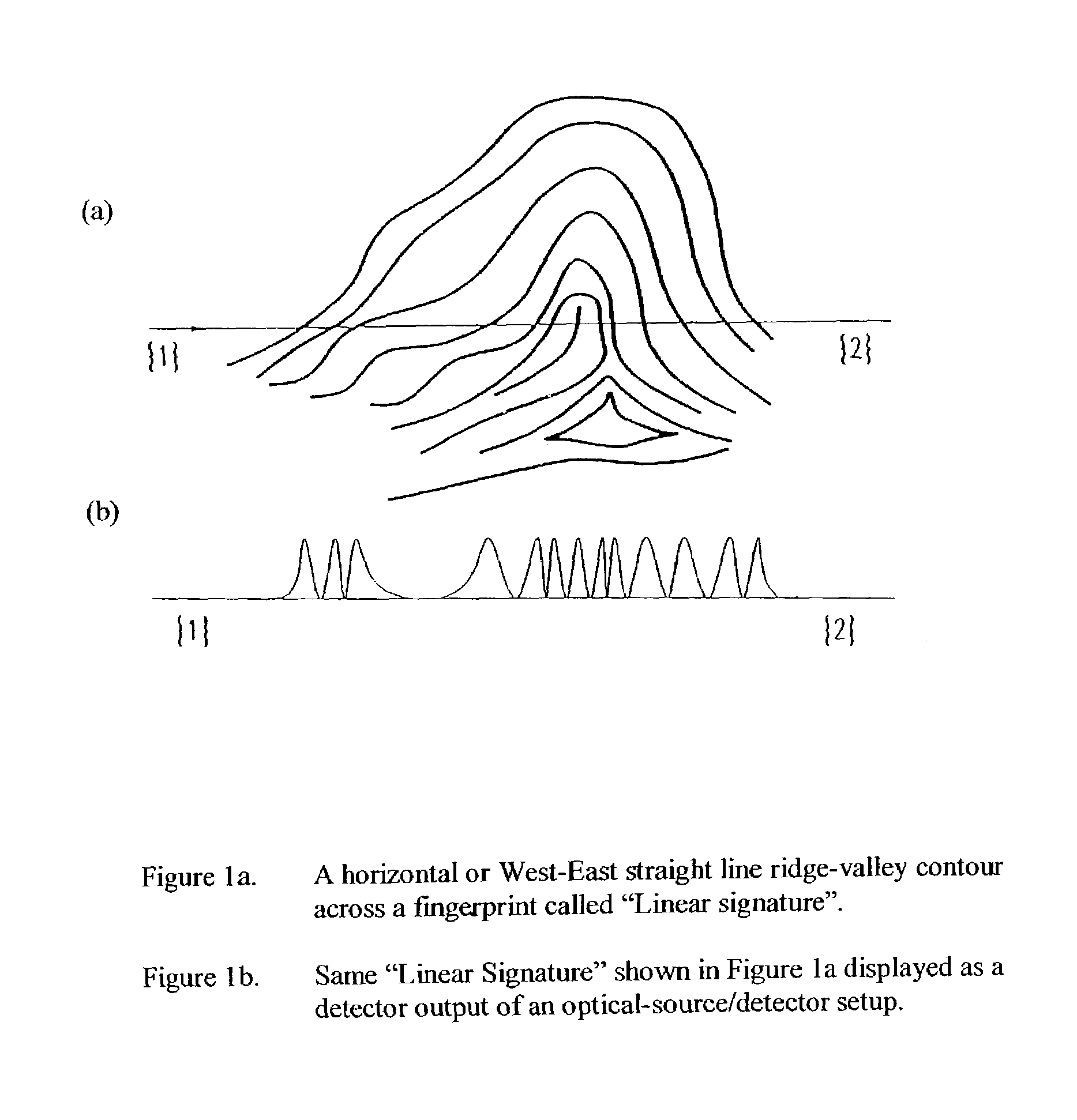 Method for authenticating an individual by use of fingerprint data