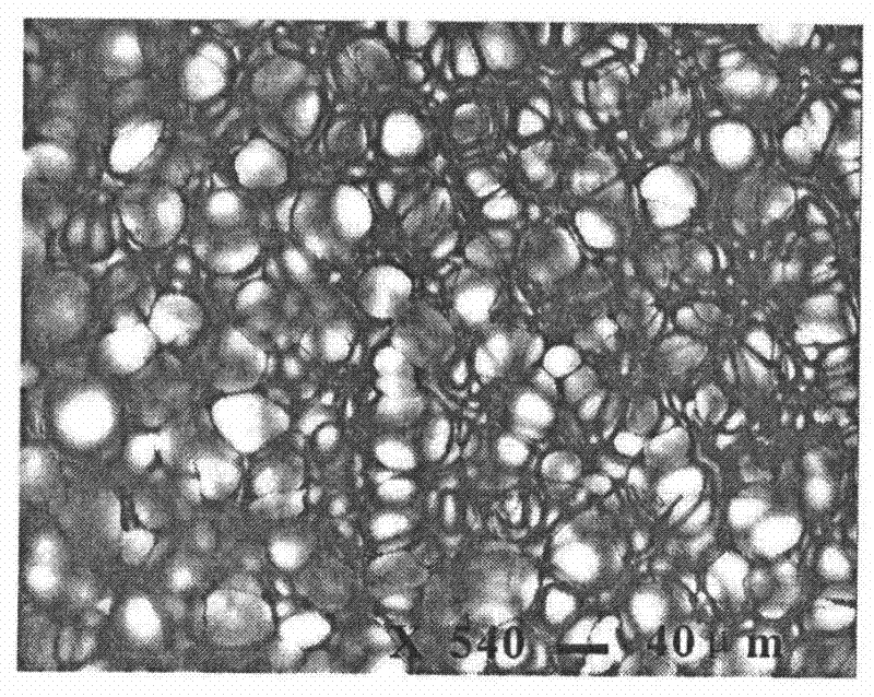 Nontoxic, odorless and recoverable environmentally-friendly polyurethane foaming material and preparation method thereof