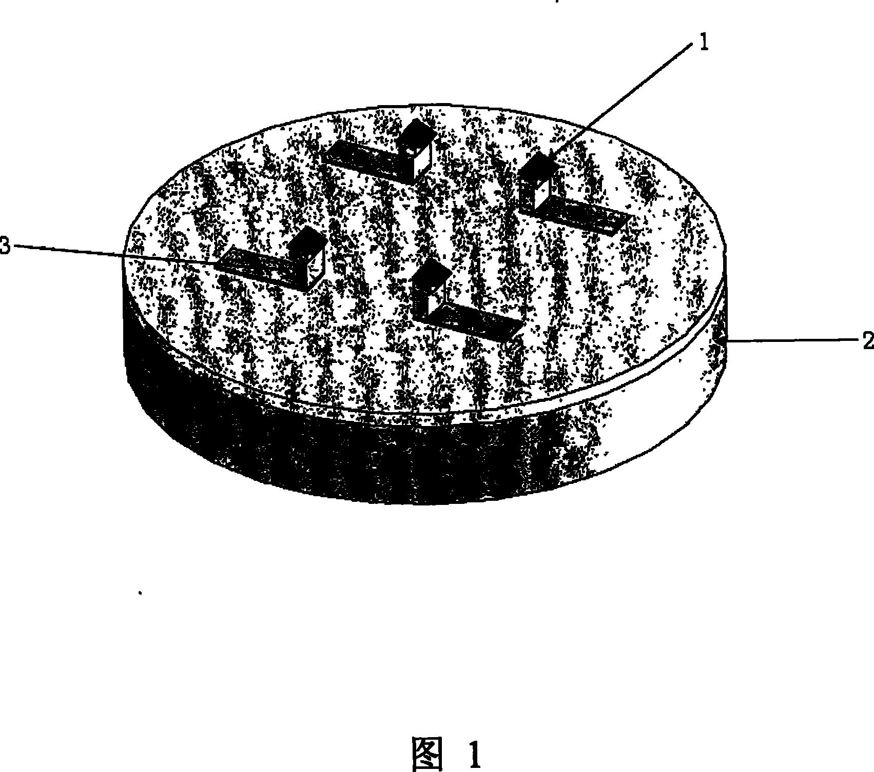Micro-tip array device and its production method