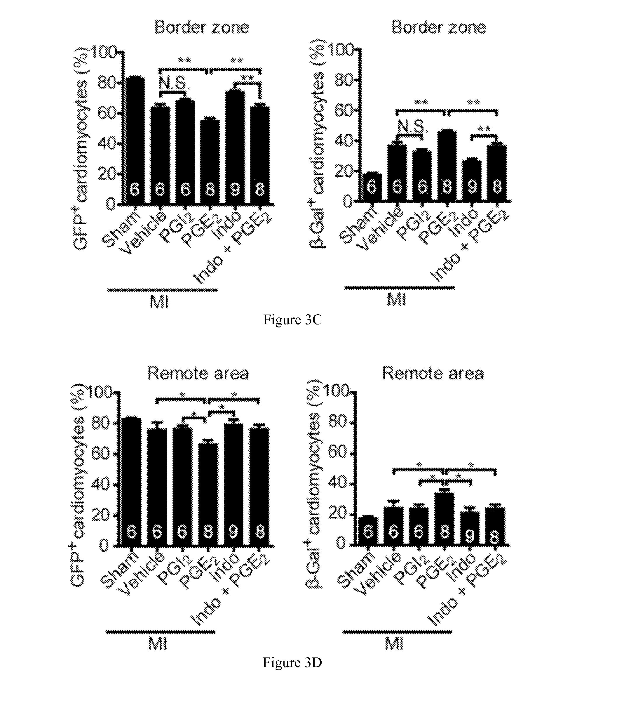Methods and Compositions for Cardiomyocyte Replenishment by Endogenous and Progenitor Stem Cells
