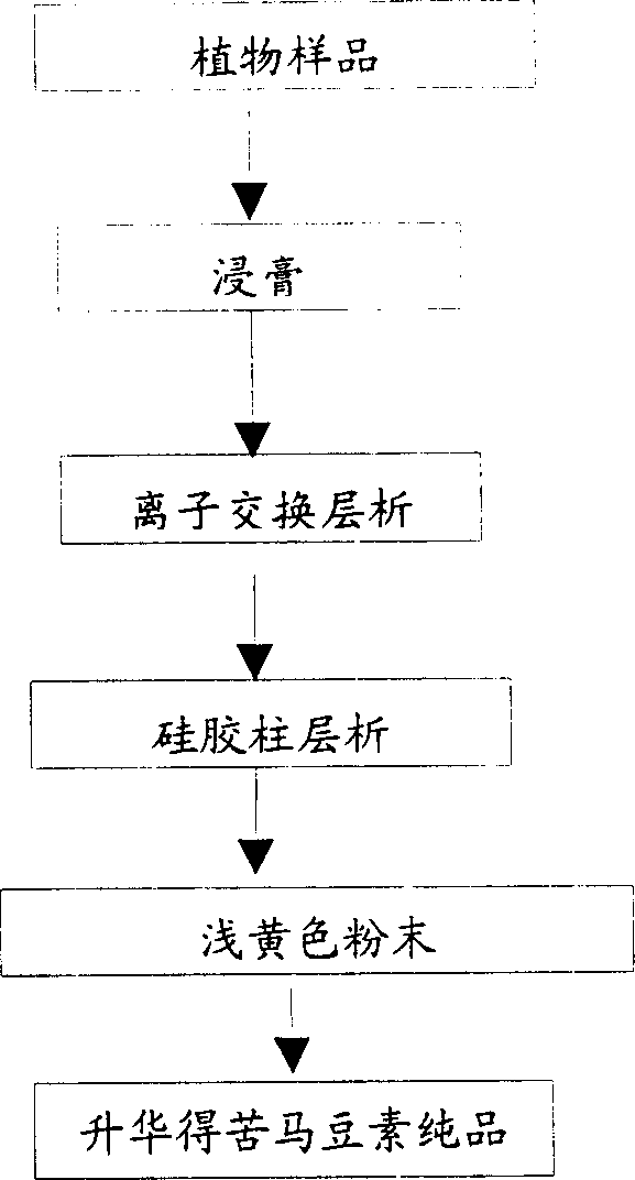 Process for purifying swainsonine in Feng grass