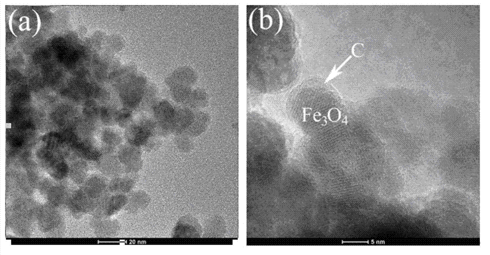 Amino functionalized superparamagnetism carbon nanosphere and preparation method thereof
