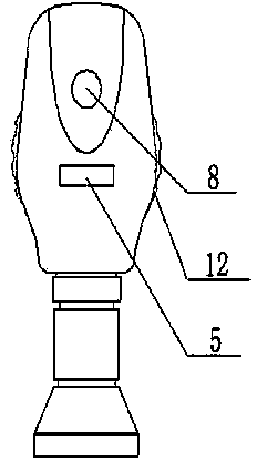 A visual digital ophthalmoscope