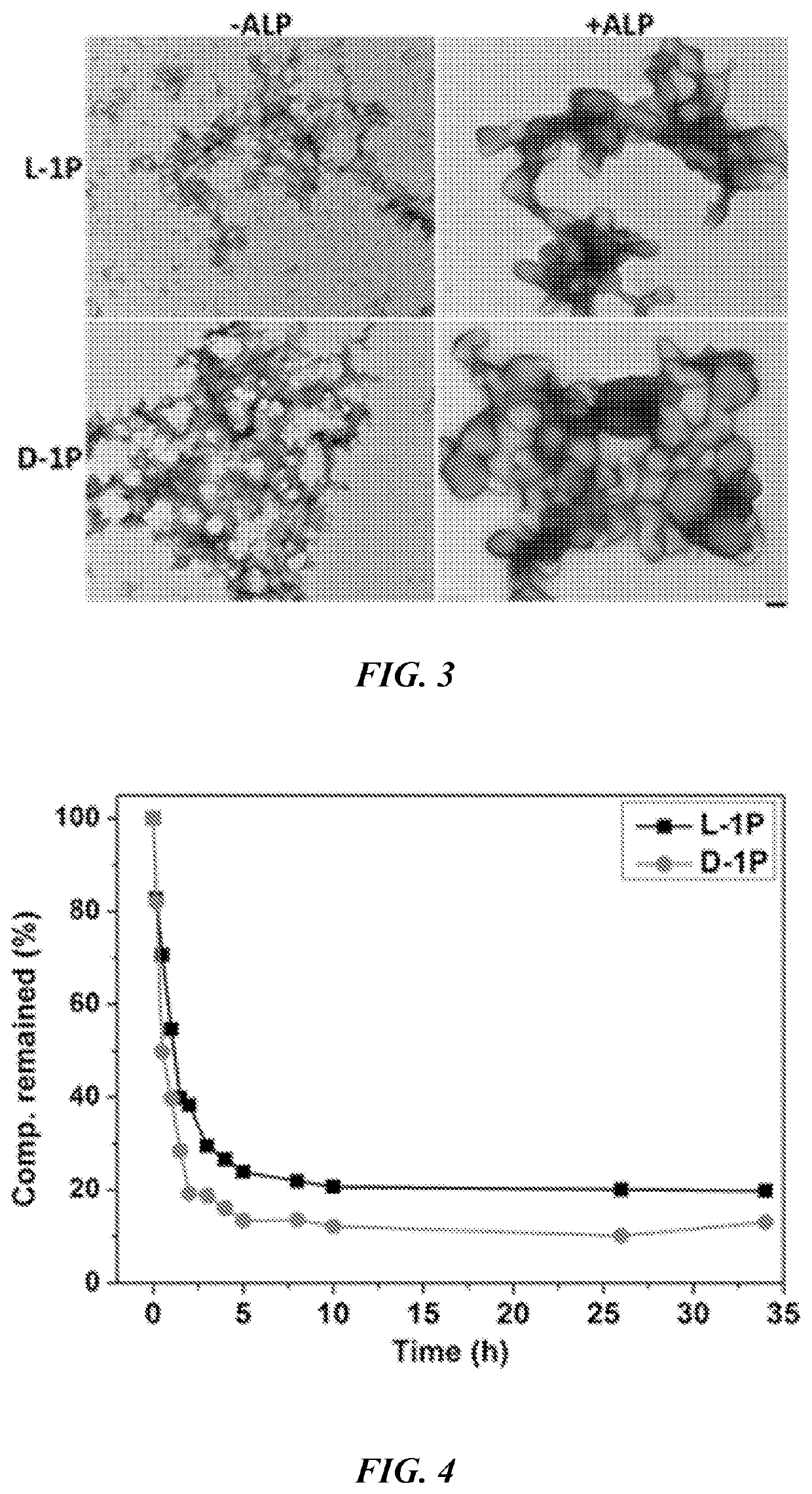 Enzymatically activatable peptide-redox modulator conjugates and use thereof