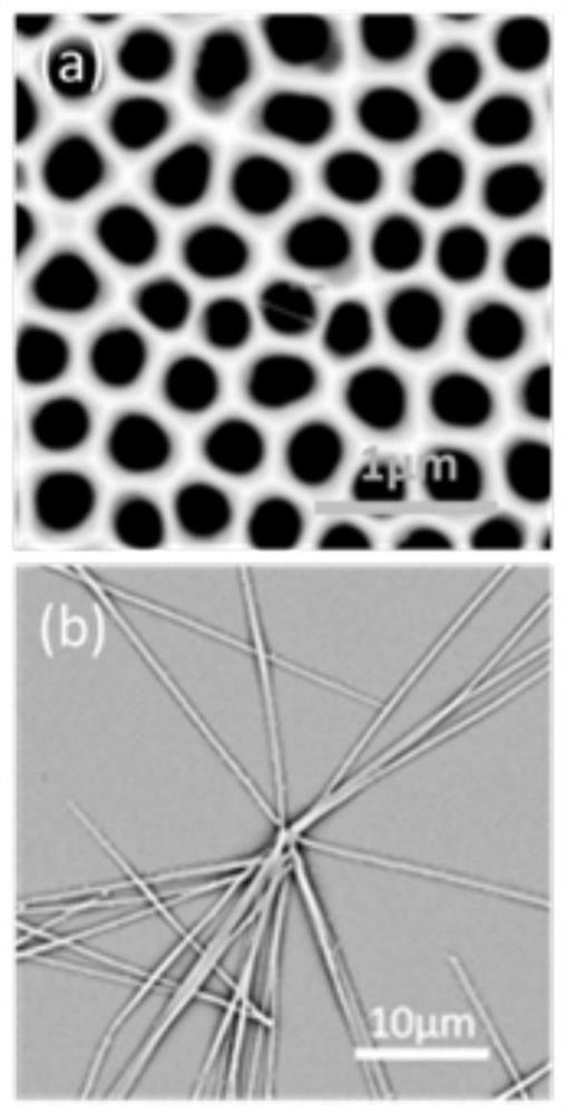A method for preparing polymer nanowires with controllable molecular orientation