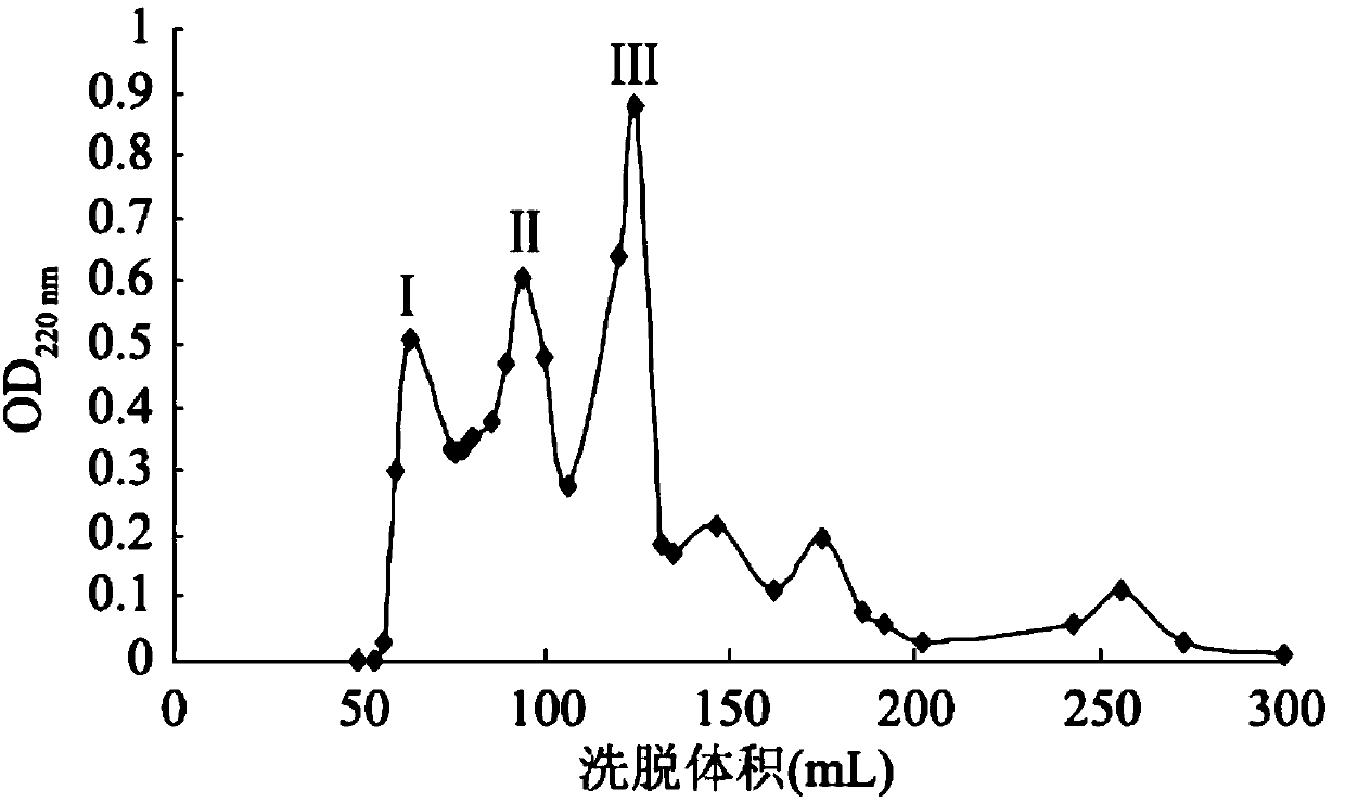 ACE (angiotensin-converting enzyme) inhibitory peptide from broccoli protein and enzyme digestion metabolism product, preparation method and application thereof