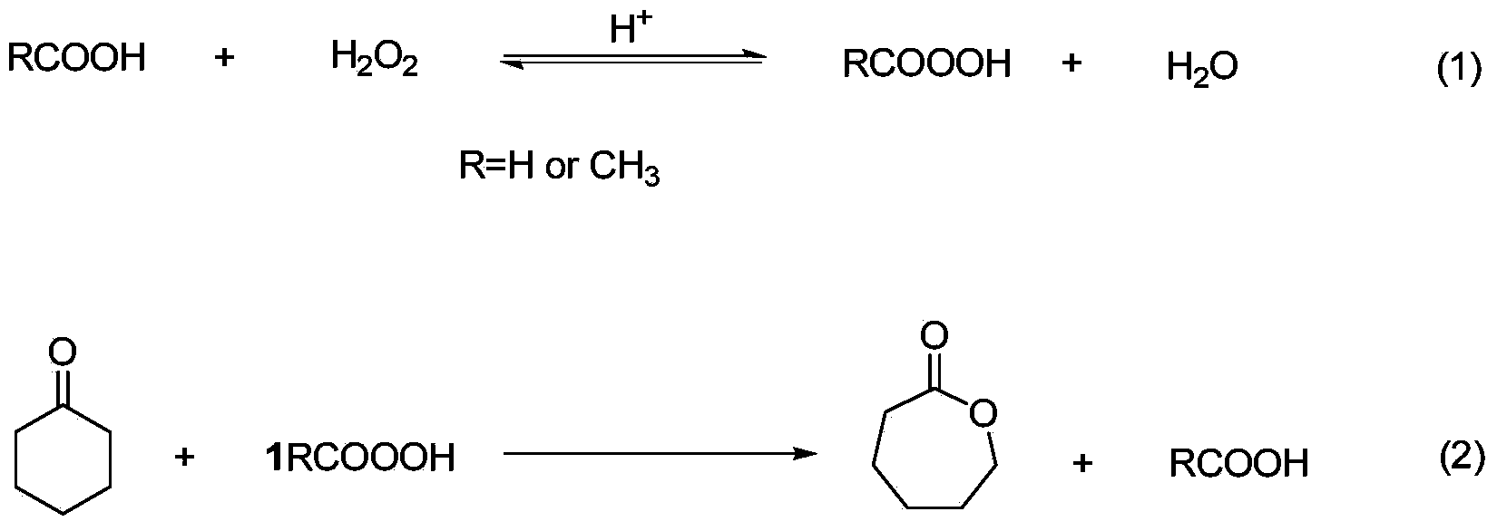 Method for preparing caprolactone through cyclohexanone catalyzed oxidation