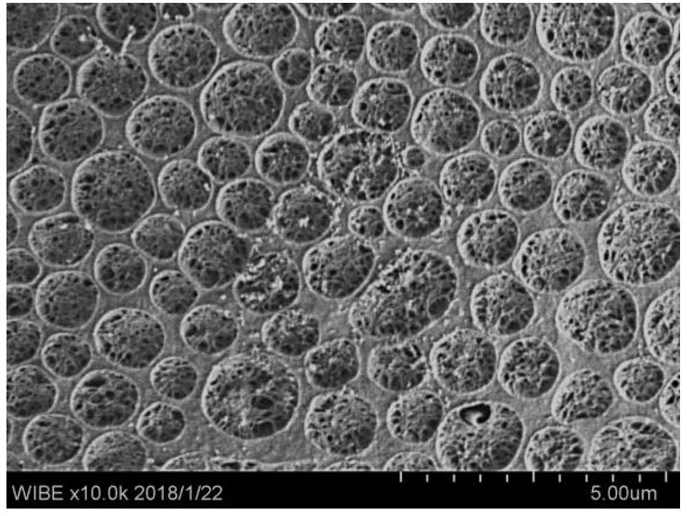 Application of pit-hole composite micro-nano structured polysaccharide microspheres in the preparation of hemostatic dressings