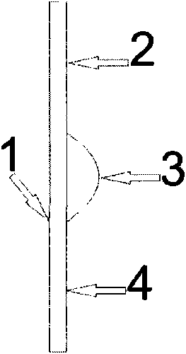 A patch for treating cold and stuffy nose by acting on the Tiantu acupoint in the fossa of the front neck