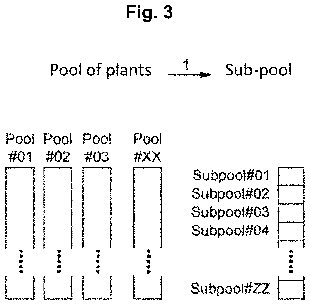 Methods for preparing mutant plants or microorganisms