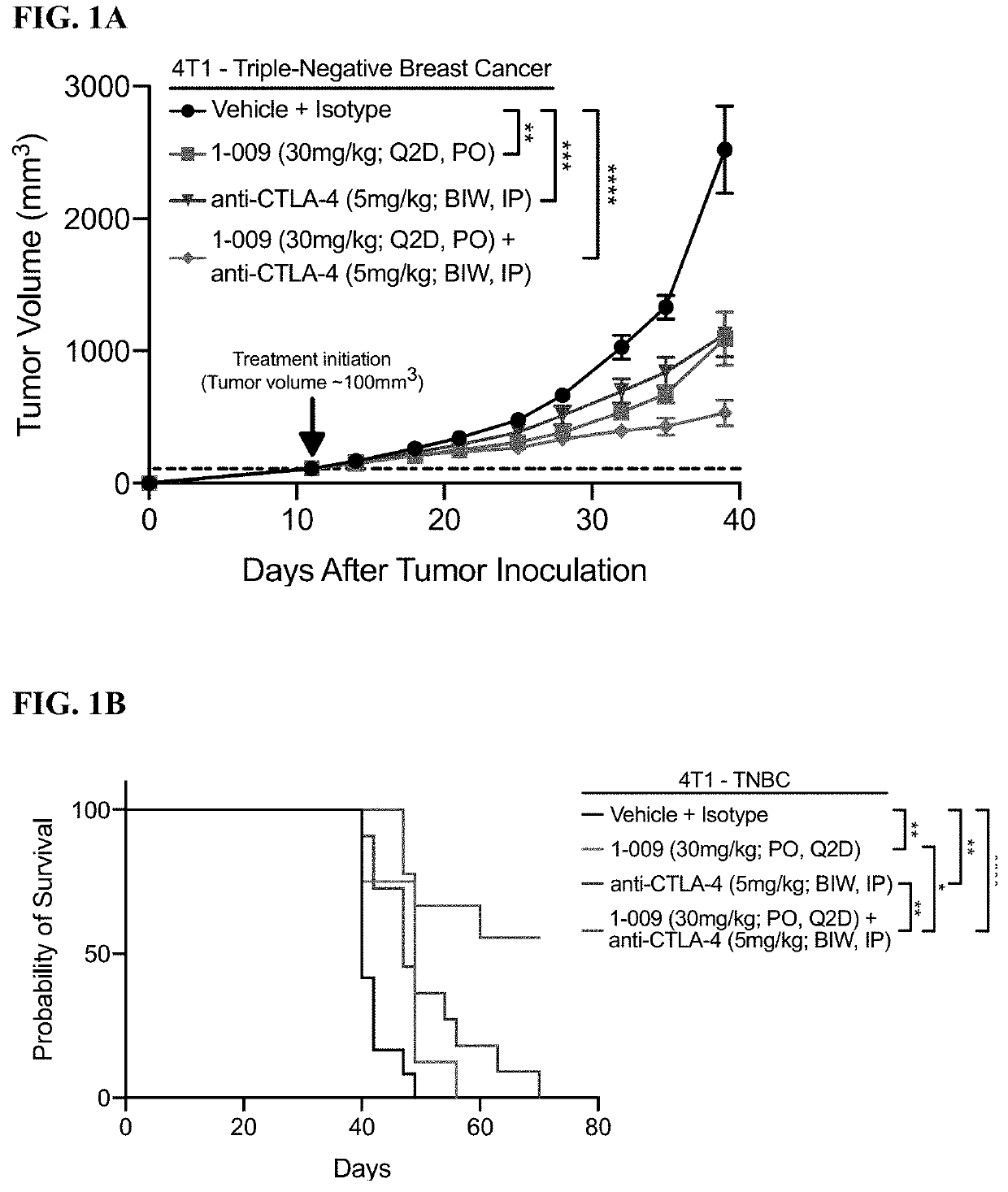 Inhibitors of monocarboxylate transporters for cancer immunotherapy