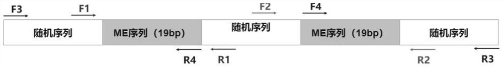 Transposase activity determination method