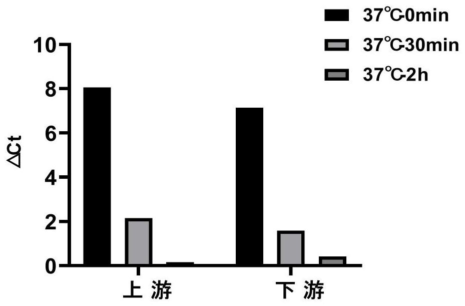 Transposase activity determination method