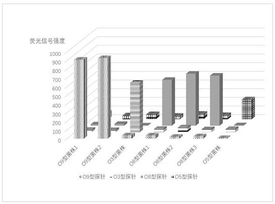 Liquid chip for detecting serotypes of four main O antigens of yersinia enterocolon and application thereof