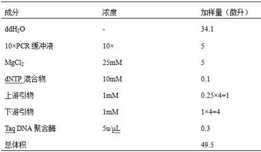 Liquid chip for detecting serotypes of four main O antigens of yersinia enterocolon and application thereof